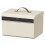 New Three Digit Password Lock Safe Box Two Layers Lockable Lock Box Privacy Security Large Capacity Storage Box Home L 1