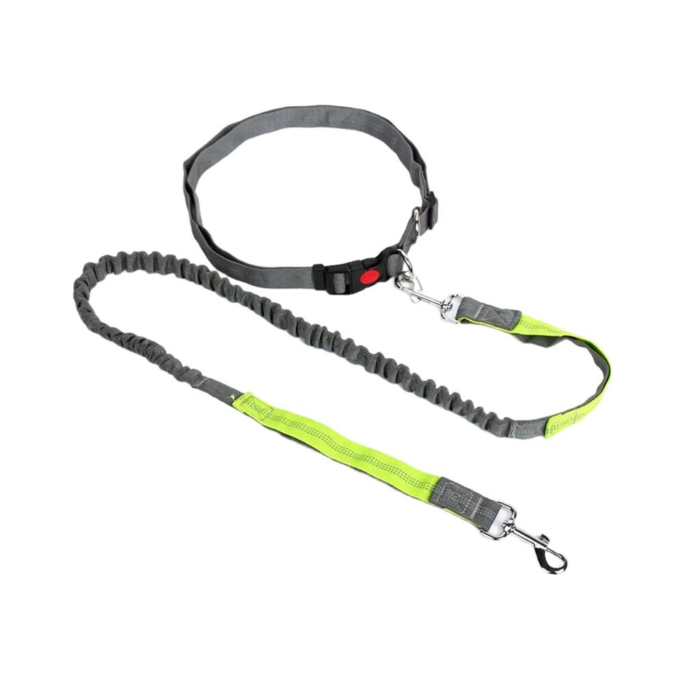 Retractable Dog Leash With Adjustable Waist Rope Hand Free Running Jogging Cycling Dogs Pet Elasticity Lead D 6031416281862