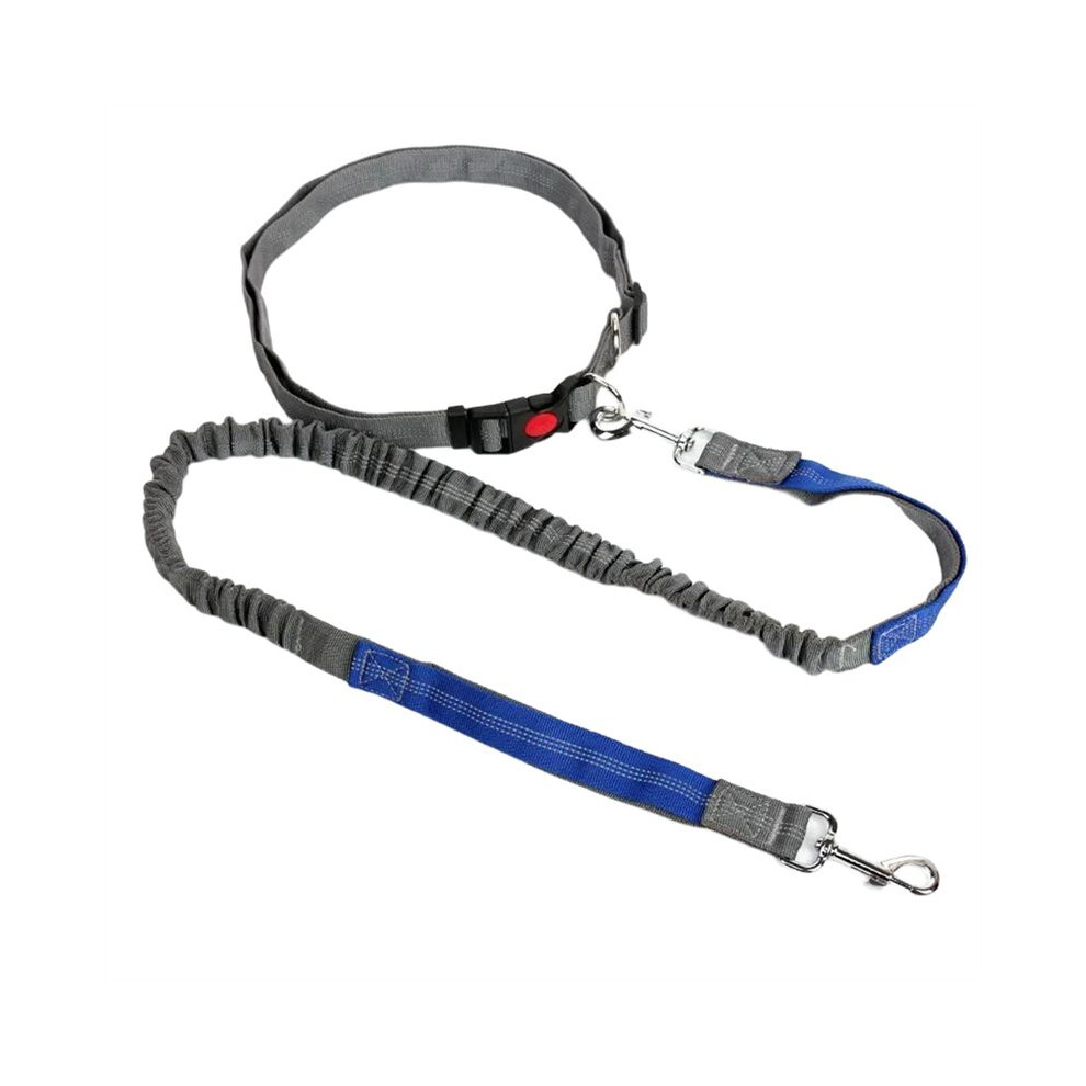 Retractable Dog Leash With Adjustable Waist Rope Hand Free Running Jogging Cycling Dogs Pet Elasticity Lead B 6032767158292