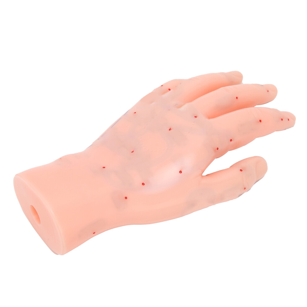 Left Hand Acupuncture Point Model PVC Teaching Hand Reflection Area