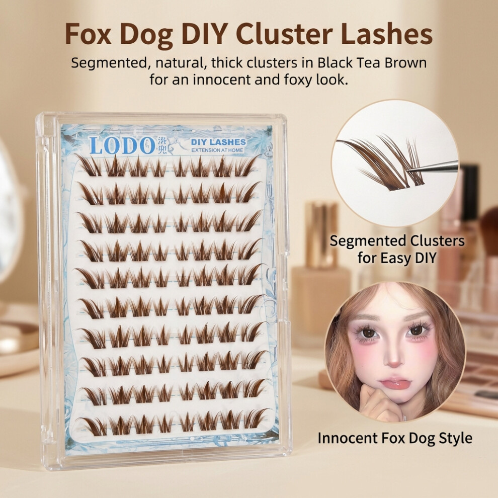 Roc-Electron (Glue Free) Fox-Eye False Lashes, Natural Thick Cluster Style