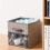 Fabric  Storage Box Transparent Storage Box for Closet Foldable Storage Box C 2
