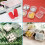 200Packs Small Clear Plastic Storage Containers,Mixed Empty , Case with Lids for Small Items 5