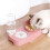 Σετ διπλού υπερυψωμένου μπολ τροφής και νερού για γάτα και σκύλο με μπουκάλι 6