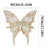 Σετ ρόλων νεράιδας 4 τεμαχίων με φτερά πεταλούδας και κορδέλα λουλουδιών – 3