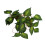 BoxNFF‑86 Variegierte Blatt-Simulationsrebe 2–2,5 m 10