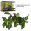 BoxNFF‑86 Variegierte Blatt-Simulationsrebe 2–2,5 m 11
