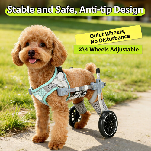 Durable Aluminum Pet Helper For Leg Aid Customizable Size For-L 2