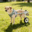 Durable Aluminum Pet Helper For Leg Aid Customizable Size For-L 5