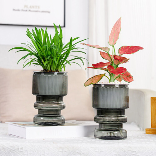 (Transparent Gray) Hydroponic Plastic Vase, Stylish Water-saving Planter 1