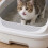 Automatisches Katzentoilettenfilter-Siebsieb, Netz-Ersatzteil 7