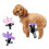 Dog Grooming Beauty Fixed Table Base Frame Adjustable Removable Grooming Fixing Table Metal Universal Pet Bath Fixer A 2