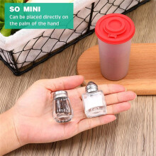 Salt & Pepper Shakers Clear Seasonings Shakers Tiny Spice Shakers Transparent Seasoning Shakers Silver