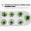 Hydroponics Growing System Full-Spectrum LED Plant Growth Light Intelligent Vegetable Germination Kit EU Plug White 3