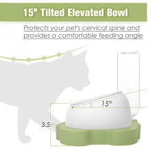 Dog Cat Bowls, Tilted Cat Food and Water Bowl Set, Raised Ceramic Cat Bowl with Automatic Water Dispenser Bottle Green