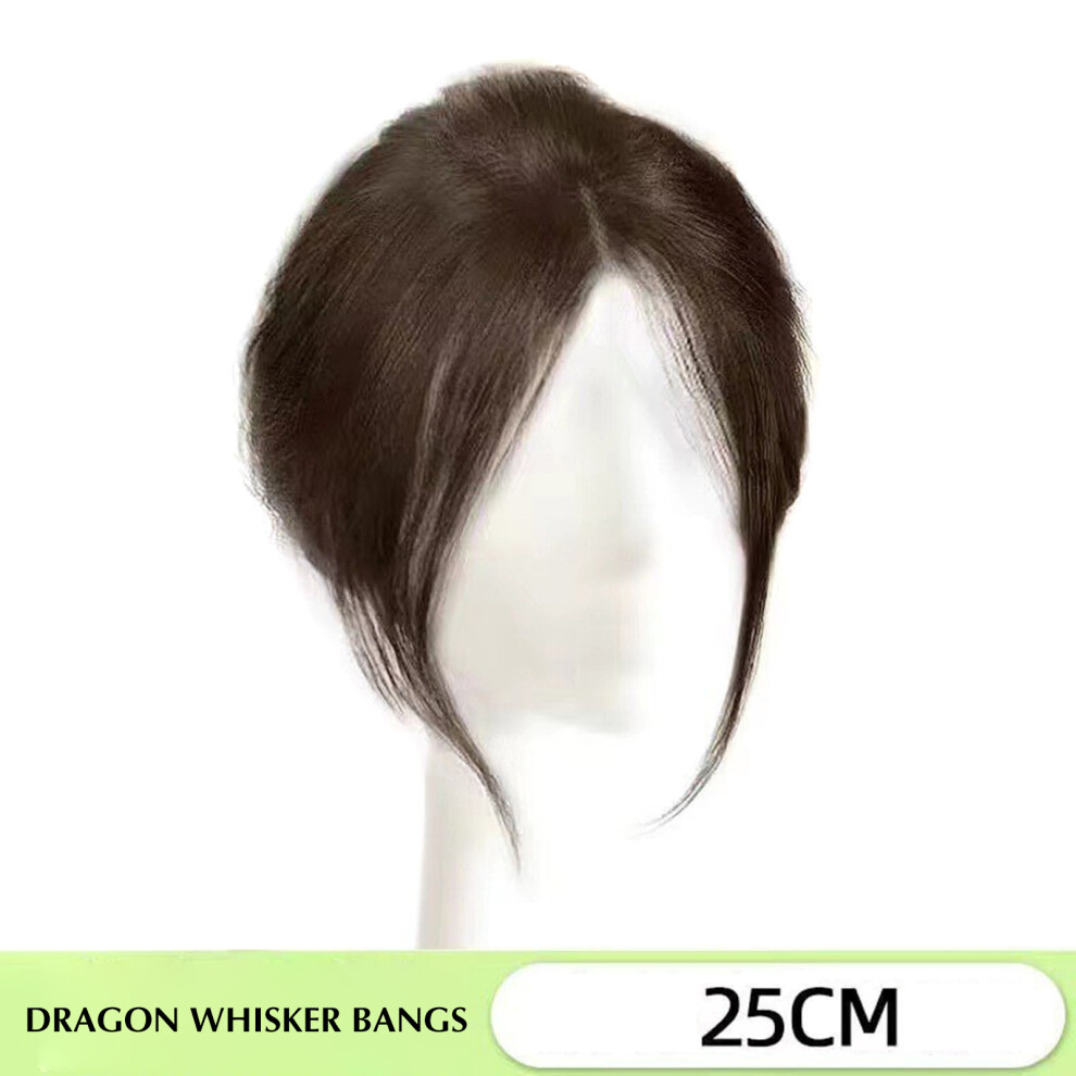 Reach-Tools Unisex Brown (Light ) Realistic Women\'S Side Bangs Wig Clip