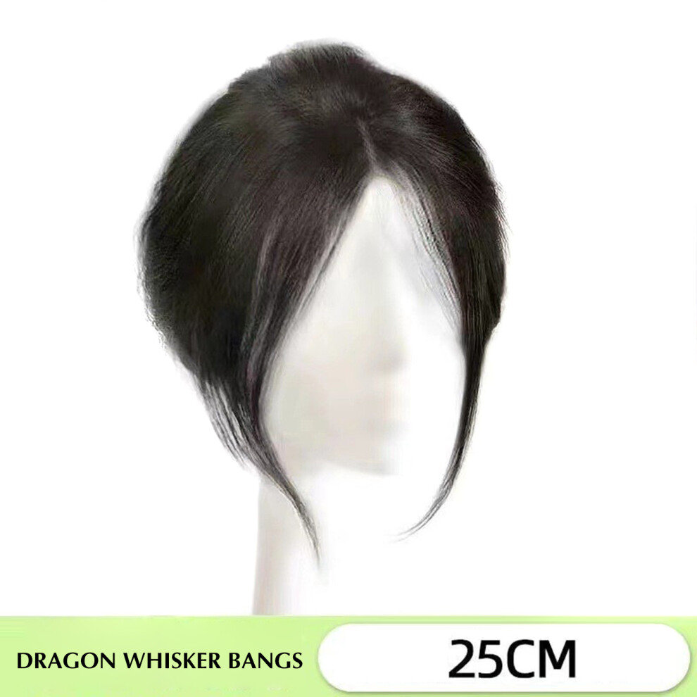 Reach-Tools Unisex Black (Brownish ) Realistic Women\'S Side Bangs Wig Clip