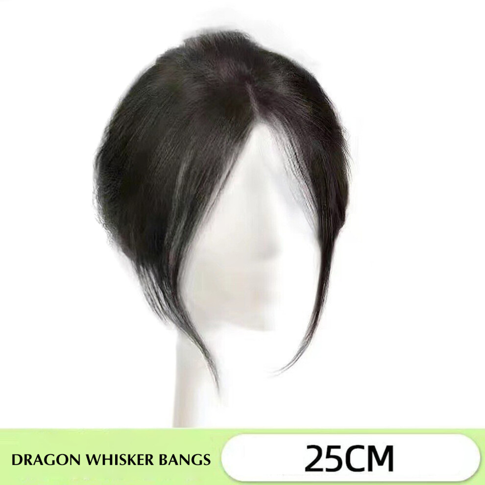 Reach-Tools Unisex Black (Natural ) Realistic Women\'S Side Bangs Wig Clip