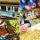 150 PCS Queen Bee Roller Cage - Plastic Beekeeping Queen Cup Kit Queen Bee Roller Cage Back Cup Holder Beekeeping Tools 8