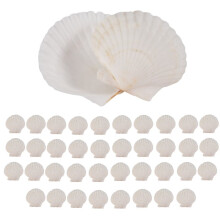 240PCS Natural Scallop Shells 1.4-2.4inch White Small Sea Shells for Crafts Crafting Shell Bulk Real Seashells