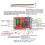 2X BLDC Trefas  Borstlös med Hall Motor Controller 6-60V12V48V Motor 400W Multi-Function Convenient Driver Board 5