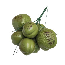 Faux fruits de noix de coco d'apparence naturelle,-7 têtes