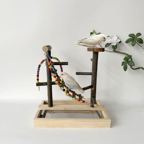 Interactively Bird Training Platform With Adjustable Height 1