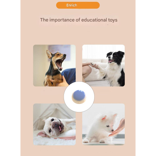 Panneau fort de communication animale d'ABS pour enseigner des 1