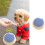 Fun Animal Instruction Set In Blue Color Plays Daily Needs 7
