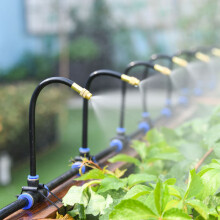 (US Standard) Adjustable Copper Sprayer with 10/20 Nozzles for Garden
