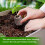 (30*15mm) Seed Starter Peat Pellets for Plants & Herbs 10