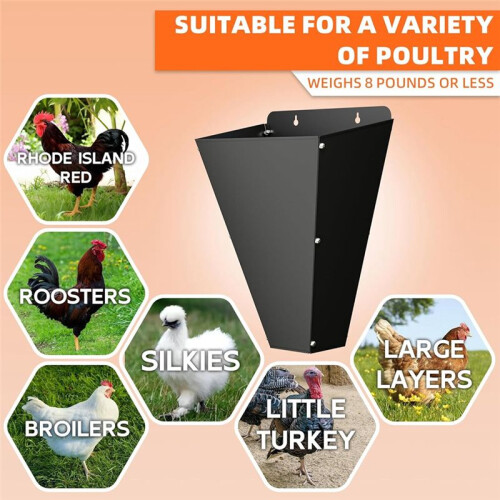 Chicken Cone, Poultry Restraining Cone with Flat Back Design, Chicken Processing Equipment for Broilers, Laying Hens 2