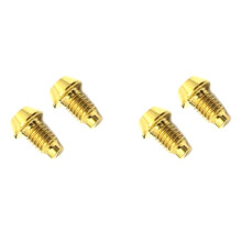 4 STUKS voor TC4 Titanium Hydraulische Schijf Uitlaatschroef Mountainbike Remschroef-Goud