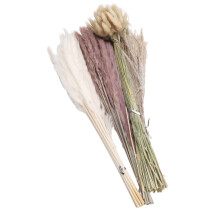 100pcs Mixed Dried Pampas Grass Bouquet 17in Home Decor HS26
