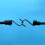 Strong Elastic Bungee Cords with Hooks for Cargo Bundling 4