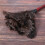 10X Ostrich Cleaning Feather Duster Ostrich Duster Ostrich Feather Duster Soft Feathers Duster 6