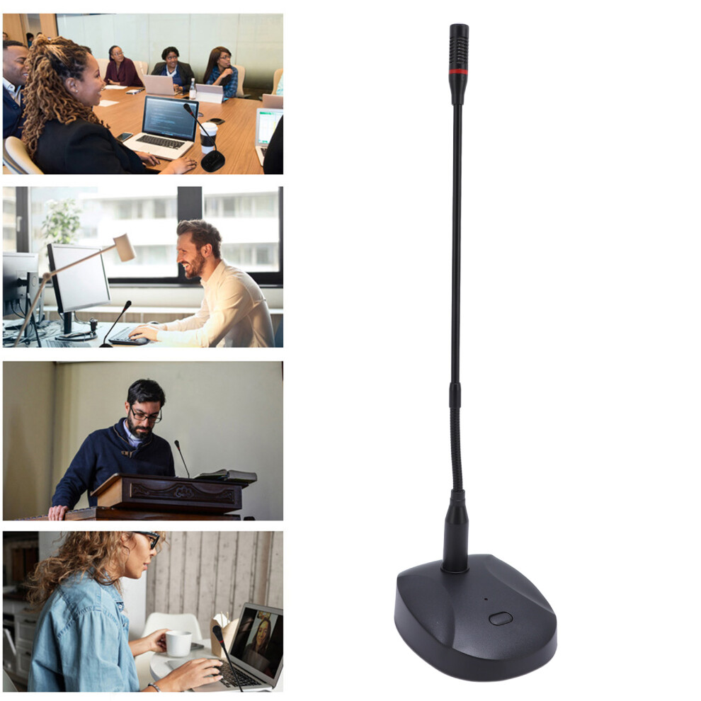 Gooseneck Condenser Microphone With Xlr, Cardioid, Desktop For Speech & Video 3681391162491
