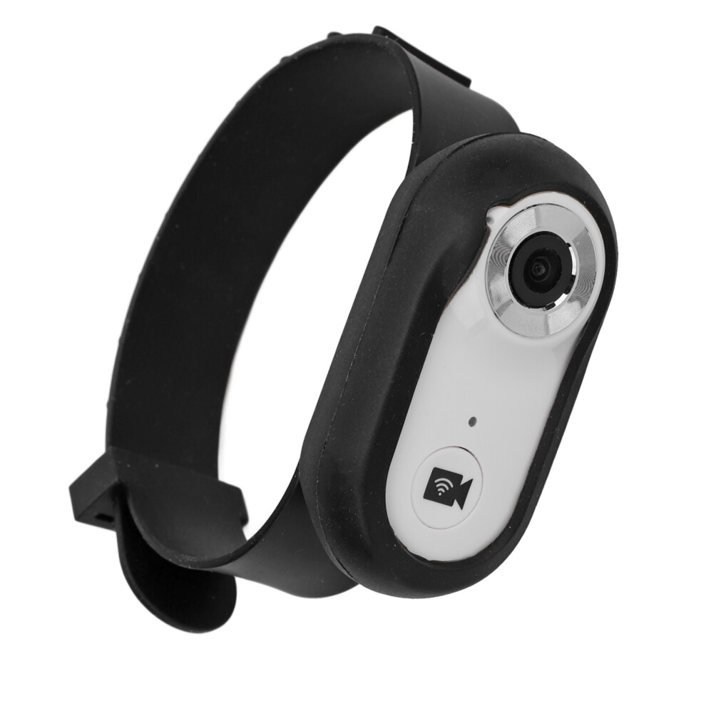 Pet Collar Camera 8G 1080P Hd Mini Video Recorder For Pets White 8121391166679