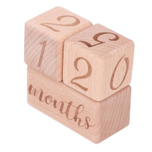 Wooden Baby Monthly Milestone Blocks Infant Growth Photography Prop