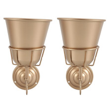 2X Vase Mural, Jardinière Murale en Fer avec Crochet Polyvalent - Support pour Plantes D'Intérieur/Extérieur pour Fleurs Vivantes ou Artificielles,