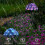 Solar Simulation Hydrangea Lights 10 LED Garden Decorative Pathway Lighting 7