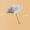 Ostrich Feather Dusters, Naturally Soft, Easy to Dust, Multi-Purpose Use, Solid Wood Handle, 41cm, White 4