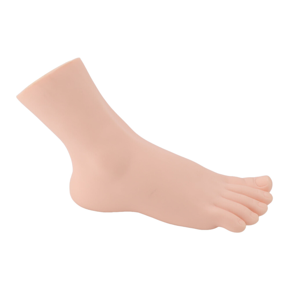 Fashion Foot Model Female Right Foot Mannequin for Footwear & Massage Showcases