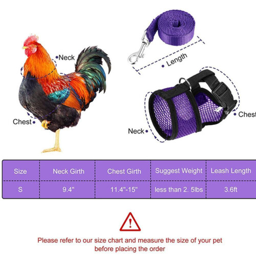 Adjustable Breathable Chicken Harness with 3.6 Feet Leash Yellow S 2