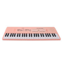 54-Key Portable Electronic Piano Keyboard with Microphone, Roseate