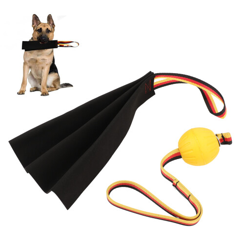 Leather Bite Rag for Puppy Training, Tear-Resistant & Interactive 2