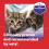 Feliway FELIWAY Friends 30 Day Cat Calming Odourless Refill for Pheromone Diffuser, 48ml 8
