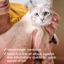 Beaphar - Flea Tablets for Cats & Kittens - 6 Treatment Pack - Rapid Knock Down of Fleas - Starts Killing Fleas in 15 Minutes, Kills 100% in 24hrs -