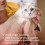 Beaphar Beaphar - Flea Tablets for Cats & Kittens - 6 Treatment Pack - Rapid Knock Down 5