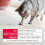 Beaphar Beaphar - Flea Tablets for Cats & Kittens - 6 Treatment Pack - Rapid Knock Down 6